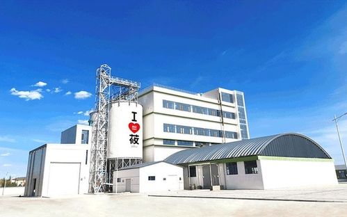 西贝莜面村主食升级 粗莜面百炼终成金，勾勒餐饮新图景